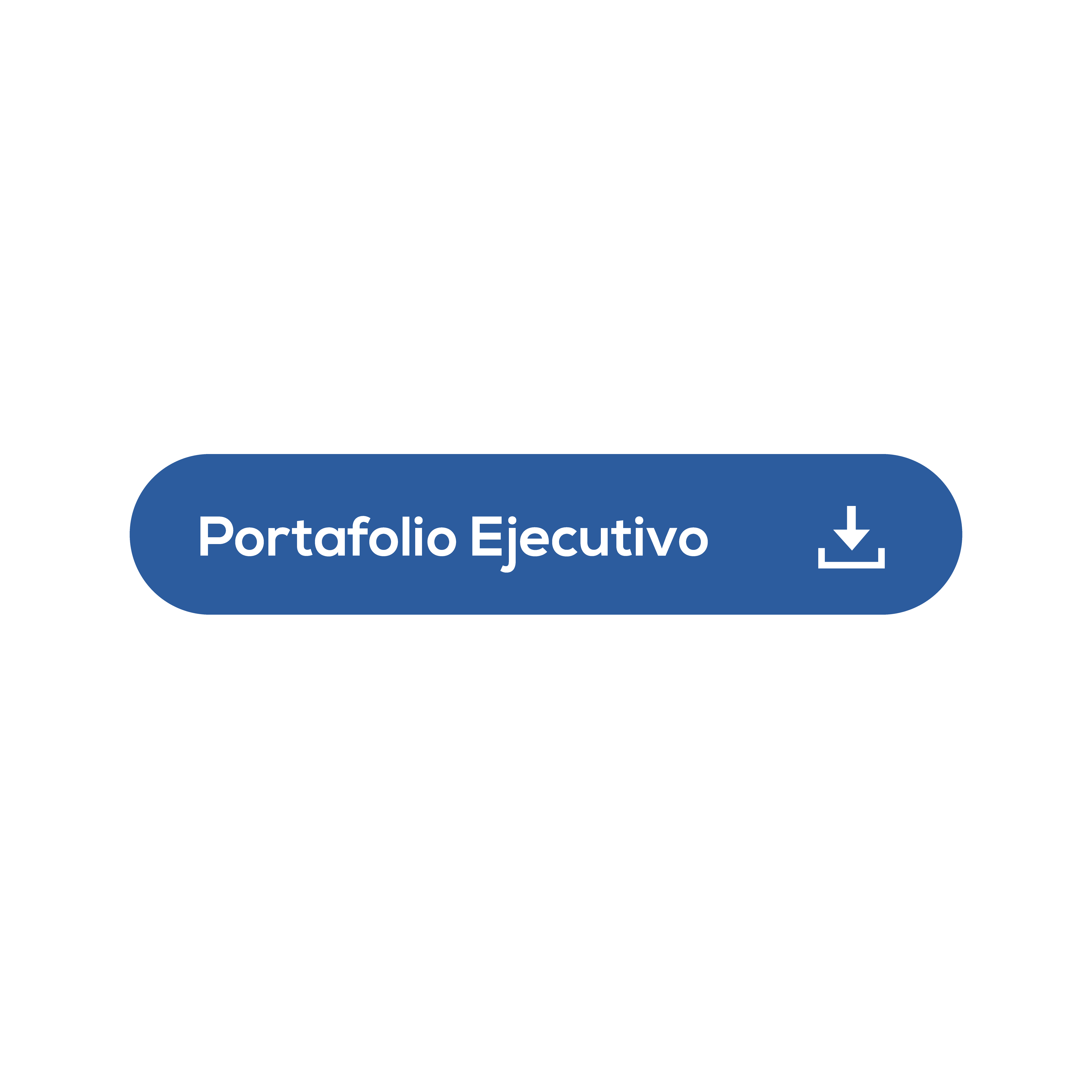 Pagina 7 boton portafolio ejecutivo