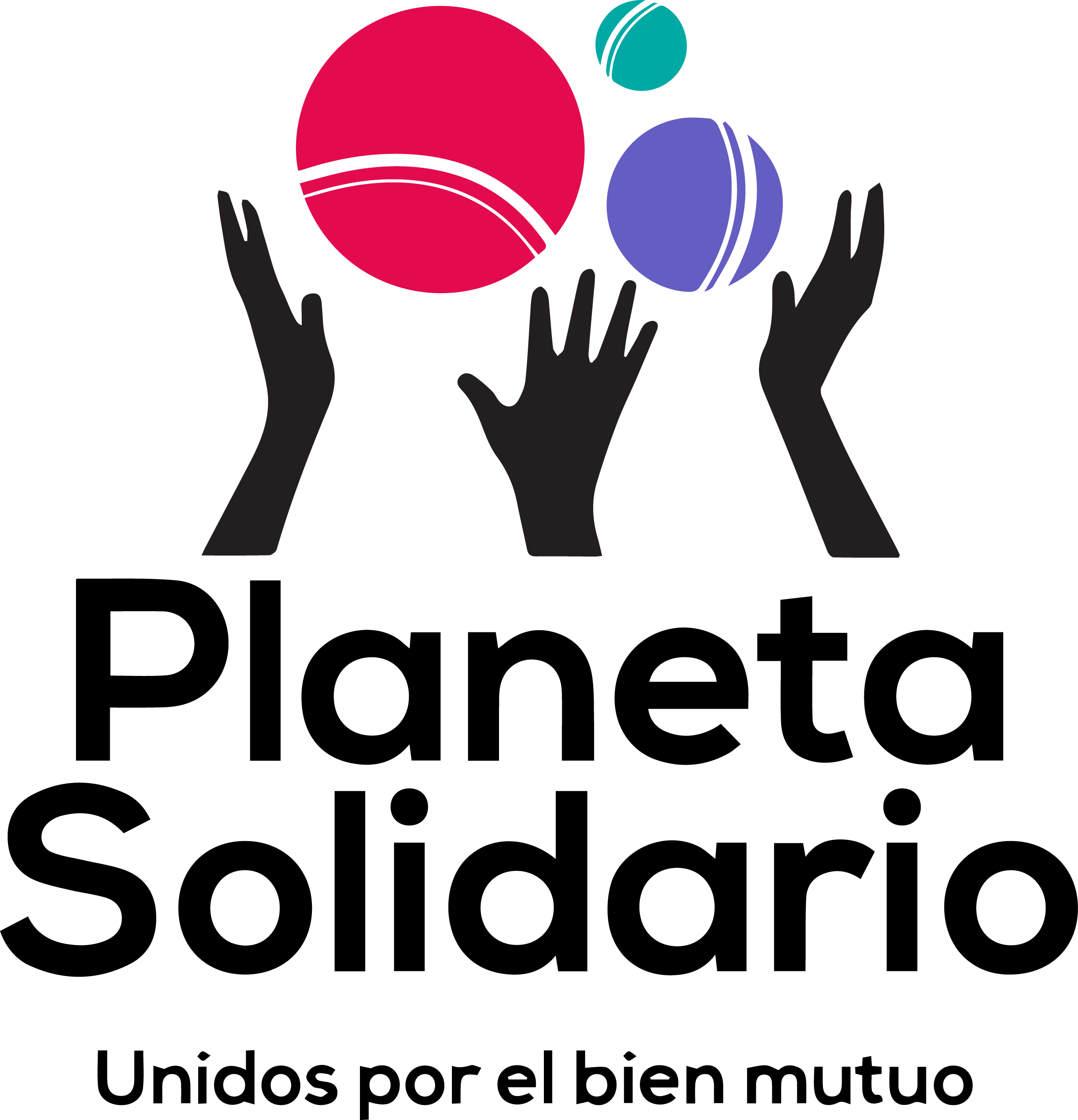 pagina 8 logo planeta solidario